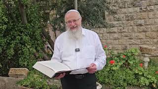 שמחה גדולה בחג המצות פותחת שערי תפילה | הרב שמואל אליהו | הלכה יומית | י"ח ניסן תשפ"ד (הרב שמואל אליהו) - התמונה מוצגת ישירות מתוך אתר האינטרנט יוטיוב. זכויות היוצרים בתמונה שייכות ליוצרה. קישור קרדיט למקור התוכן נמצא בתוך דף הסרטון