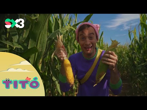 Excursió amb blat de moro | Titó
