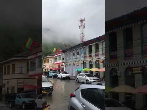 visitando pijao Quindio #videoshort #viajes #viralvideos  #plantas