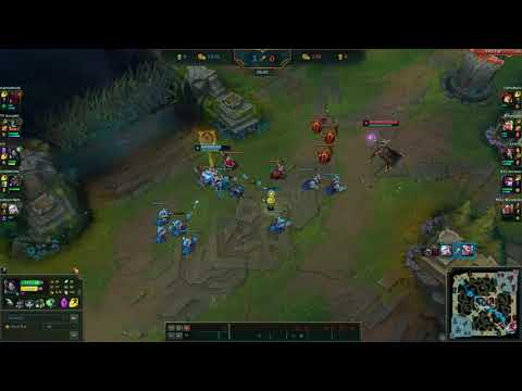 LIDER Akali - smooth solokill