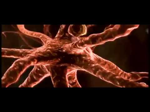 REvolution 2012 (Teil1) - Ein Film von Dieter Broers