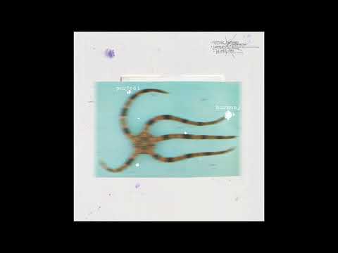 Guy Contact & Solar Suite - Liana's Cove