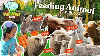 Download lagu [Part 1/2] ANIMAL FEEDING di THE NICE PARK BANDUNG Mini Zoo mp3
