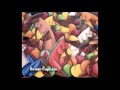 Brave Captain - Ein Hoff Le