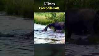 3 Times Crocodile FAIL