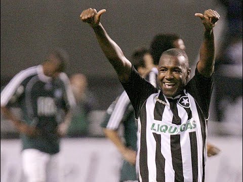 Botafogo 1 x 0 Palmeiras 2008 (Brasileiro)