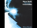08 New York Ska Jazz Ensemble - Minor moods - Brain freeze.
