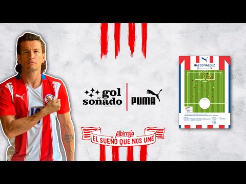 Haedo Valdez Paraguay 1 - 0 Venezuela Eliminatorias Alemania 2006