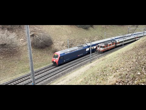 SBB S9 Zürich HB - Rafz & IC Stuttgart - Zürich HB gezogen von einer Re 4/4 II "Crèmeschnitte".