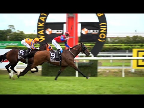 Performance of the Week - Sharp ‘N’ Smart