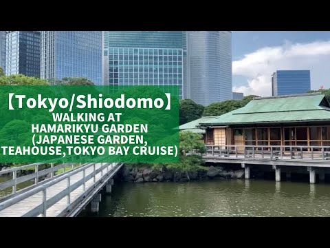 【Tokyo/Odaiba】Walking at Hamarikyu Gardens（Japanese Garden,Teahouse, Tokyo Bay Cruise etc）