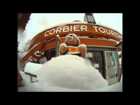 pourquoi la marmotte hiberne