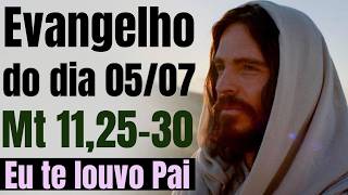 Evangelho do dia com reflexão, Domingo 05/07, Mt 11,25-30