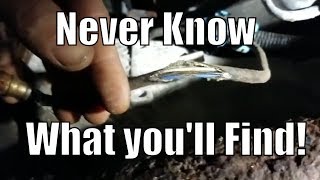 P0141 P0161 O2 Sensor Heater Circuit "Chevy Truck 5.3L 6.0L"