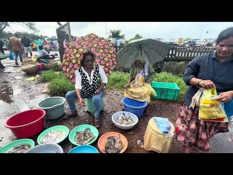 Margao Whole Sale Fish Market 