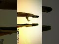 NAANUM ROWDY THAAN SONG STATUS