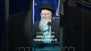 ללמוד ממרדכי: זקיפות קומה זו הצלת נפשות! | הרב שמואל אליהו בשיעור קול צופייך (הרב שמואל אליהו) - התמונה מוצגת ישירות מתוך אתר האינטרנט יוטיוב. זכויות היוצרים בתמונה שייכות ליוצרה. קישור קרדיט למקור התוכן נמצא בתוך דף הסרטון