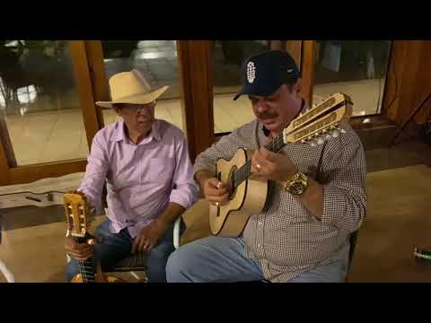 VIOLEIRO DO PASSADO (moda de viola) | Cleiton Torres & Praiano (VIOLA JÚNIOR CARVALHO)