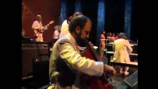 Borzeguim - Tom Jobim