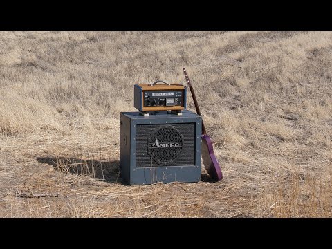 *New* Bodhi Amps “Tremdog” Harmonic Tremolo Effect unit and 5W Tube Amp Head image 2