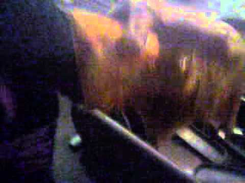 Pizza For Gym Goers? Why Not?