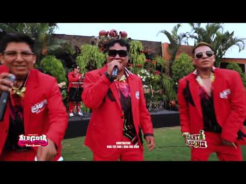 ALEGRIA | El Pañuelito | La Casita | Regresaste Casada | CANTO ANDINO 2025