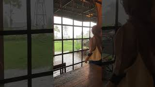 Download lagu Rustic Market, Trawas. #shorts #short #trawas #shortvideo #cafe #rusticmarket mp3 Download lagu Rustic Market, Trawas. #shorts #short #trawas #shortvideo #cafe #rusticmarket mp3