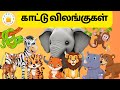 Learn Wild Animals Name Sound And Fun Fact In Tamil For Kids Children Tamilarasi