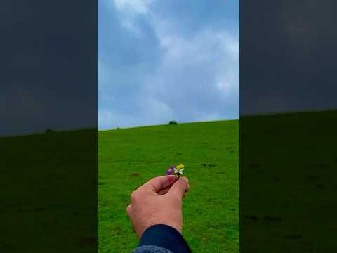 Breathtaking Bahrain Swat Valley Mountain Flowers 🌸 | Nature's Miniature Wonders"#flowers