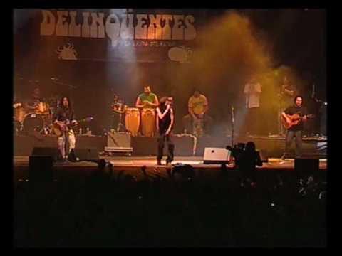 Viña Rock 2008 - Los Delinqüentes