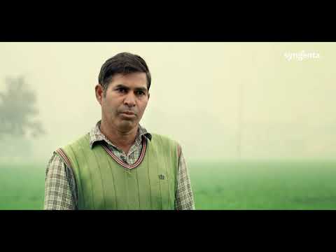 Syngenta RISQ Test | Grower Testimonial | Kurukshetra - Haryana