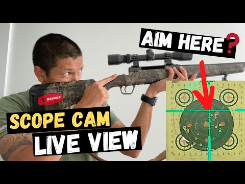 How To Bore Sight A Rifle At Home & Save Ammo At The Range! | 10 Yard Bore Sight For 100 Yards