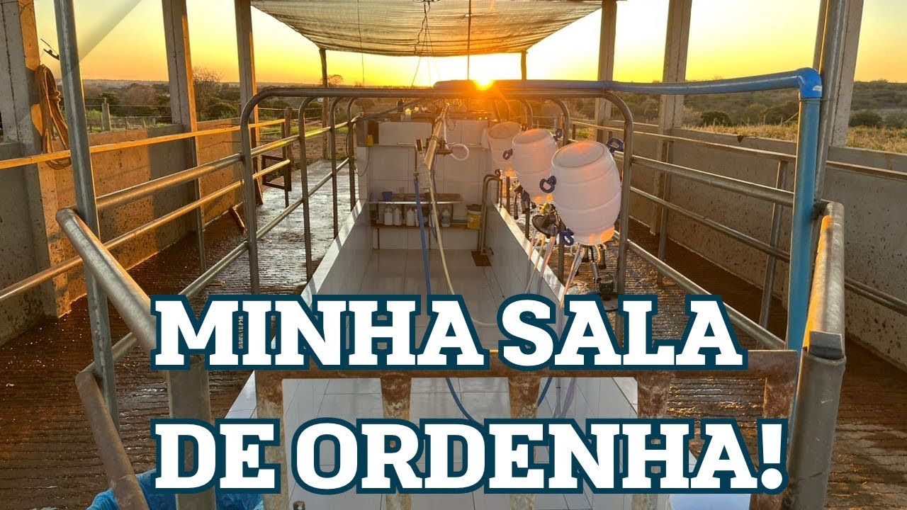 Como CONSTRUI  minha  SALA de ORDENHA.