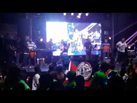 Tago Urere - Patti Potts Doi Live 2018