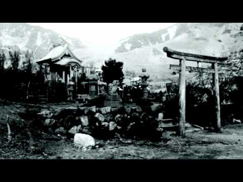 Davwuh - Blackmarket