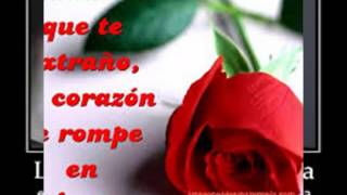 ♫SON BY FOUR ♫   ♪A PURO DOLOR♪ (dj kharlos)