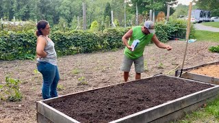 We Try It Every Year || Beef, Bush Hogging & A Fall Garden || August 2025
