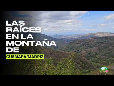 Las raíces de las montañas del municipio de Cusmapa, departamento de Madriz #CulturAgroTV