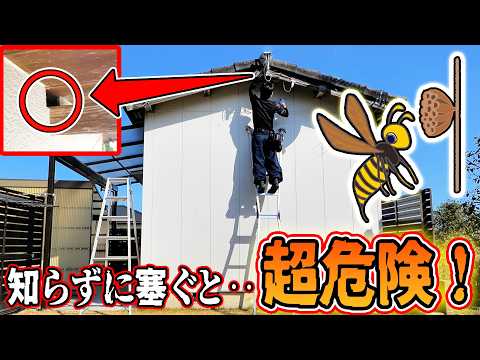 youtube-動物記事1970/01/01 09:00:00