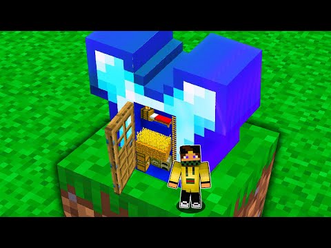 MINECRAFT MA PUOI ENTRARE IN OGNI OGGETTO