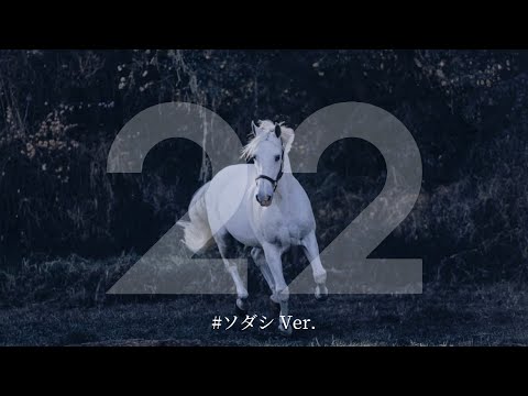 2022.11.20   白毛　ソダシ　阪神11R   マイルチャンピオンシップ