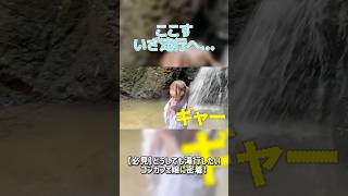 号泣！！ #推しは推せる時に推せ #推し推せ #コンカフェ #ミナミコンカフェ #メイド #アイドル #shorts #滝行 #修行