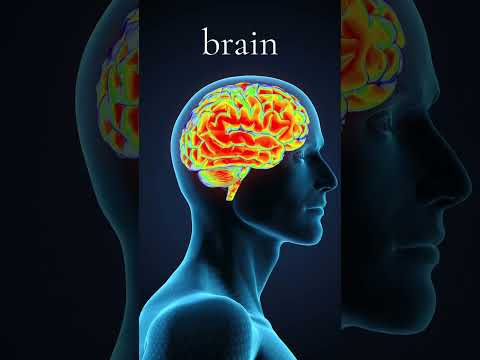 Why I gave up violent movies