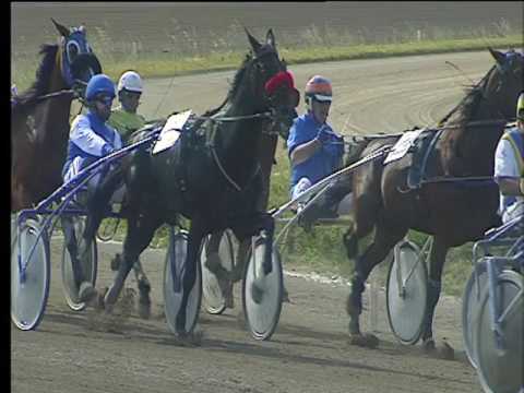 Trotto 26/05/2017 - 5ª corsa