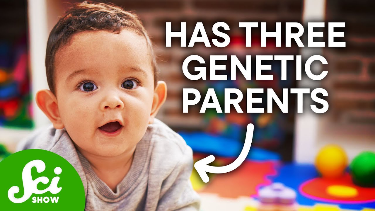 How To Make A Baby With Three Parents