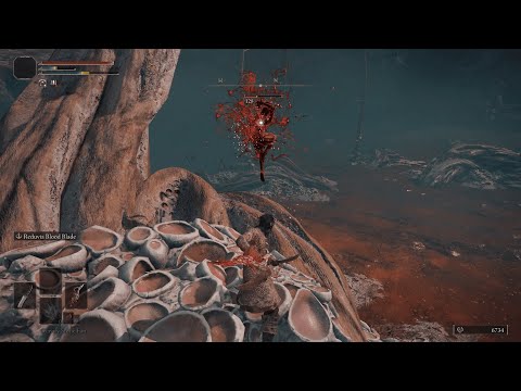 Easy beat Millicent Invader - Elden Rimg Gameplay