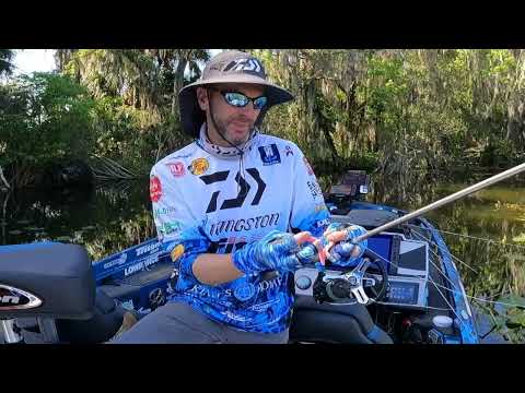 Harris Chain Of Lakes