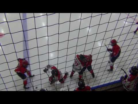 Viikingit/W - HC Panter 04/05  2-1 (1-1, 0-0, 1-0)  04.02.2016