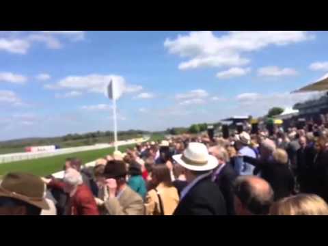 Goodwood horse racing 2014
