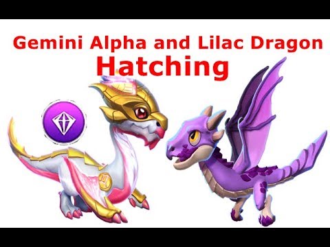 How to Breed Gemini Alpha Dragon-Dragon Mania Legends | Hatching Gemini Alpha and Lilac | DML